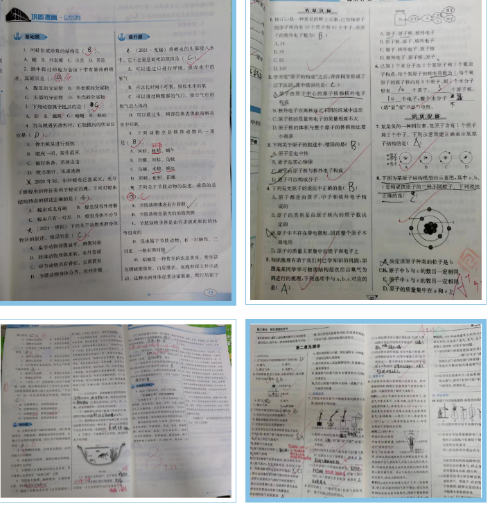 教学常规聚养分 润物无声绽芳华