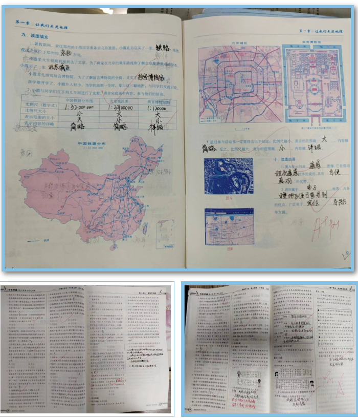 教学常规聚养分 润物无声绽芳华