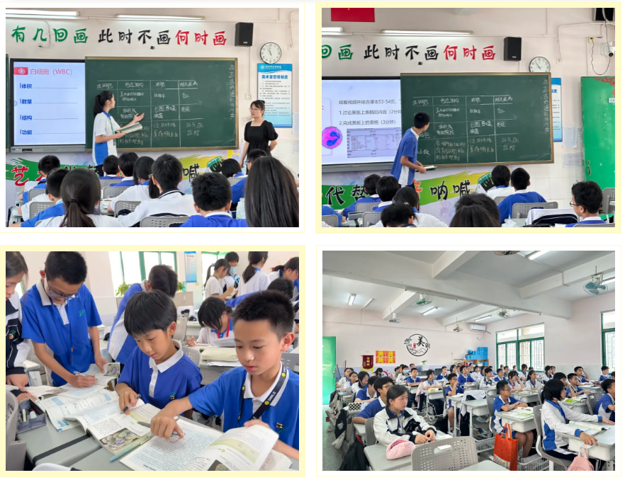 学校活动 | 精彩课堂绽芳华 三尺讲台守初心